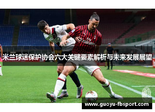 米兰球迷保护协会六大关键要素解析与未来发展展望