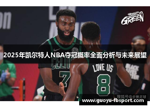 2025年凯尔特人NBA夺冠概率全面分析与未来展望