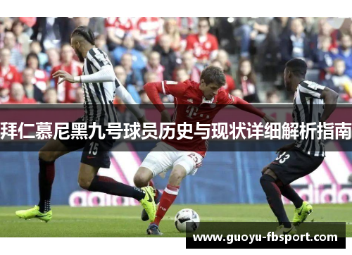 拜仁慕尼黑九号球员历史与现状详细解析指南