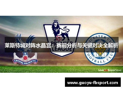 莱斯特城对阵水晶宫：赛前分析与关键对决全解析