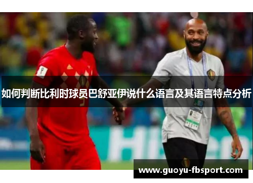 如何判断比利时球员巴舒亚伊说什么语言及其语言特点分析