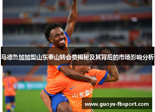 马德鲁加加盟山东泰山转会费揭秘及其背后的市场影响分析