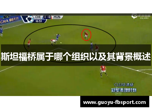 斯坦福桥属于哪个组织以及其背景概述 斯坦福桥属于哪个组织以及其背景概述