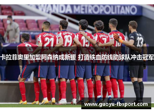 卡拉菲奥里加盟阿森纳成新援 打造铁血防线助球队冲击冠军 卡拉菲奥里加盟阿森纳成新援 打造铁血防线助球队冲击冠军