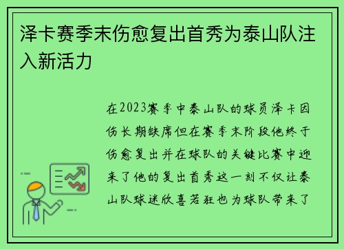 泽卡赛季末伤愈复出首秀为泰山队注入新活力
